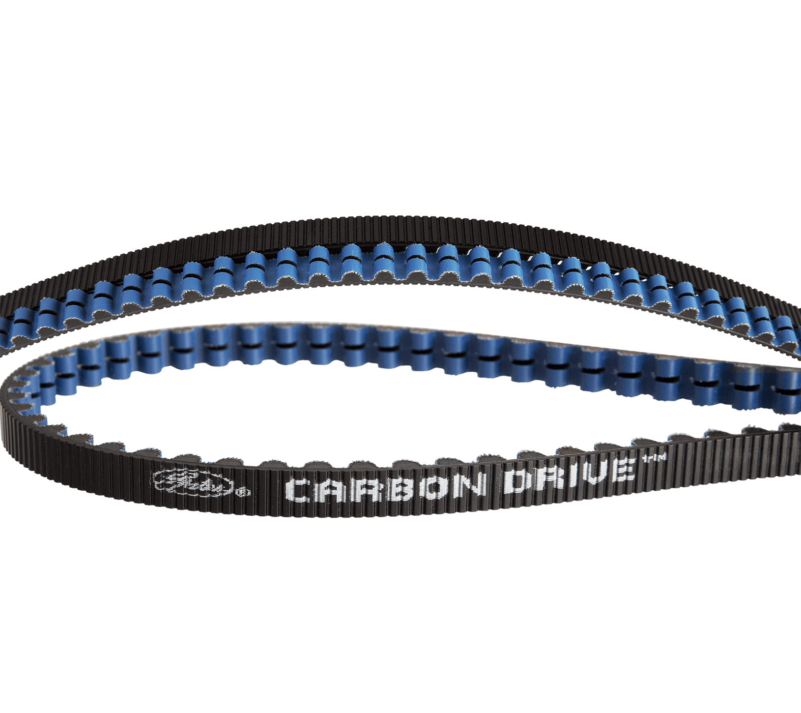 CDX Belt Gates Carbon Drive, 111T, black/blue