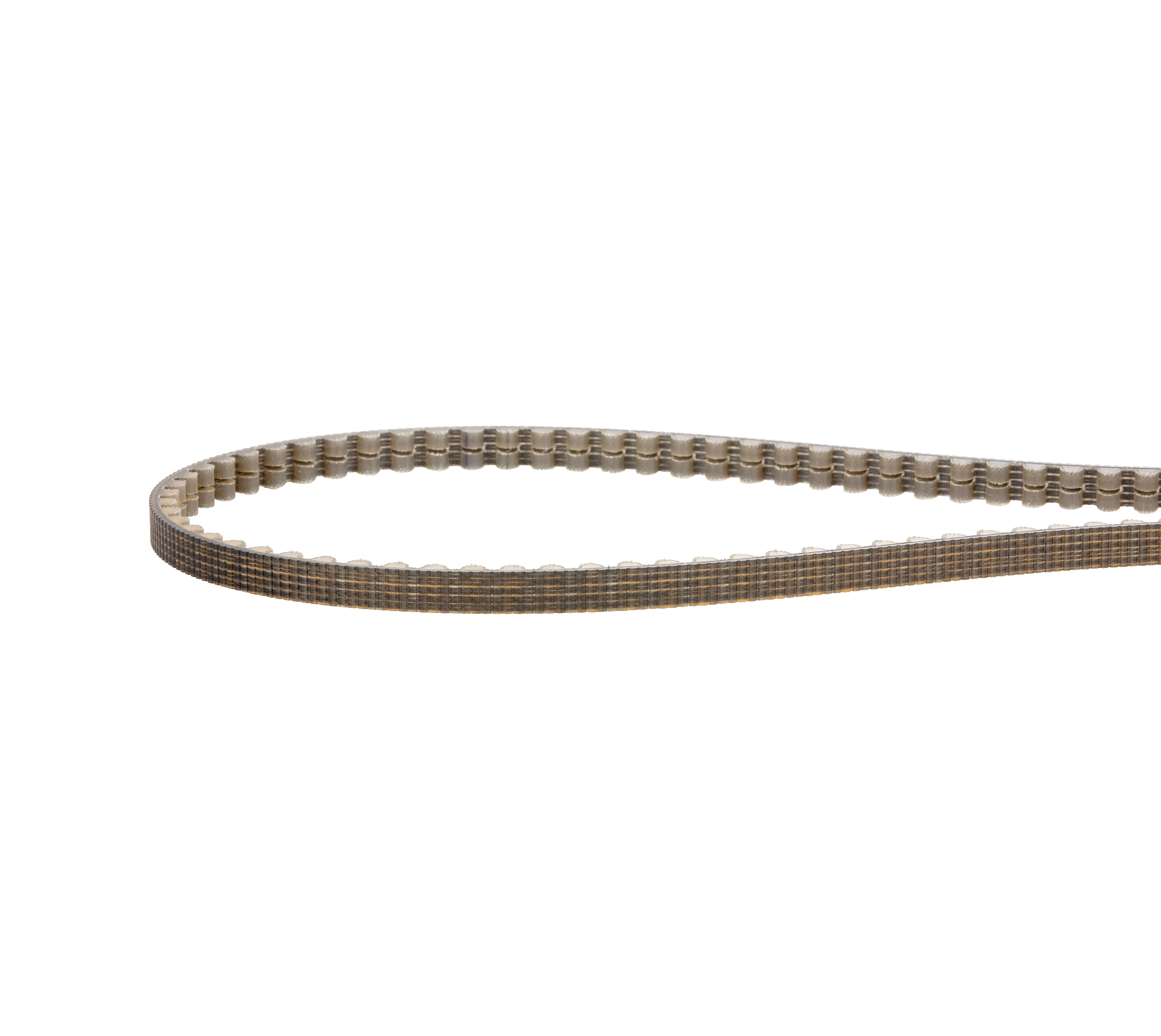CDX Belt Gates Carbon Drive, honey